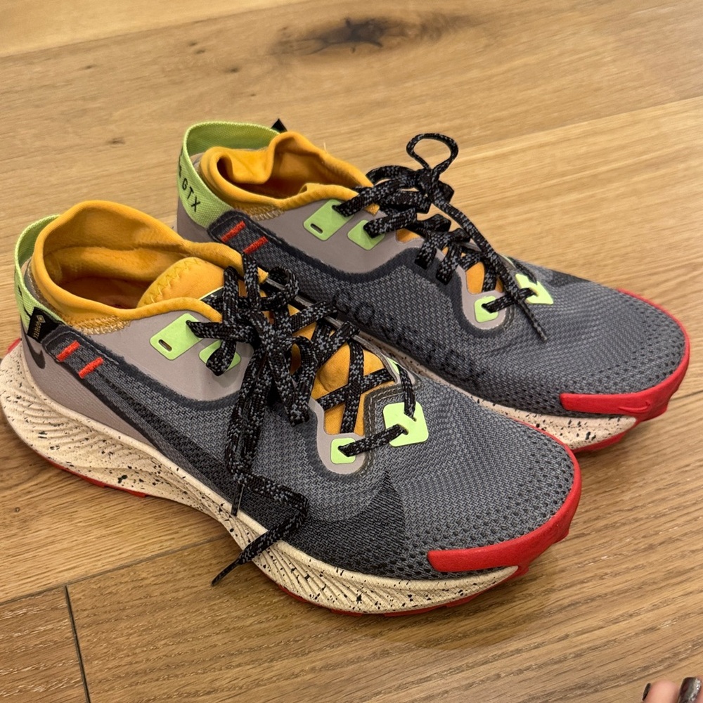 Nike Pegasus GTX Gray and Red Trail Shoes